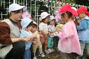 じゃがいも掘りの見学をしました！